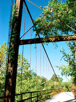 Swinging Bridges